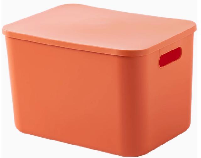 Plastic debris storage box with lid